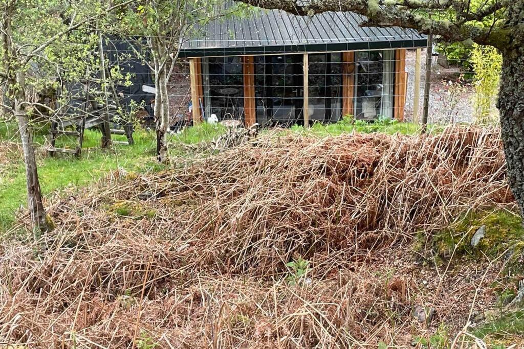 Coorie Doon Cabin! Great Scottish Welcome Holiday home *