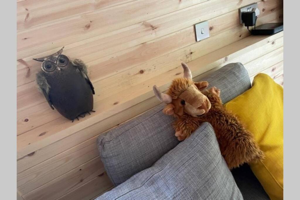 Coorie Doon Cabin! Great Scottish Welcome Holiday home