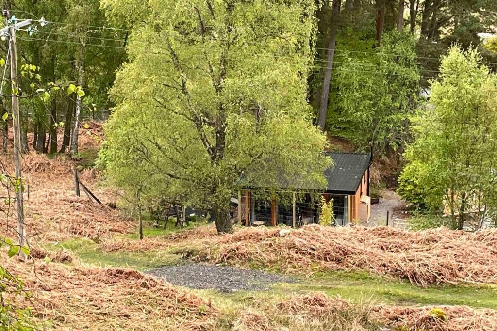 Coorie Doon Cabin! Great Scottish Welcome Holiday home